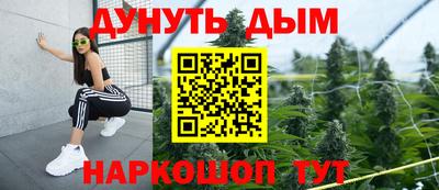 сатива Славгород