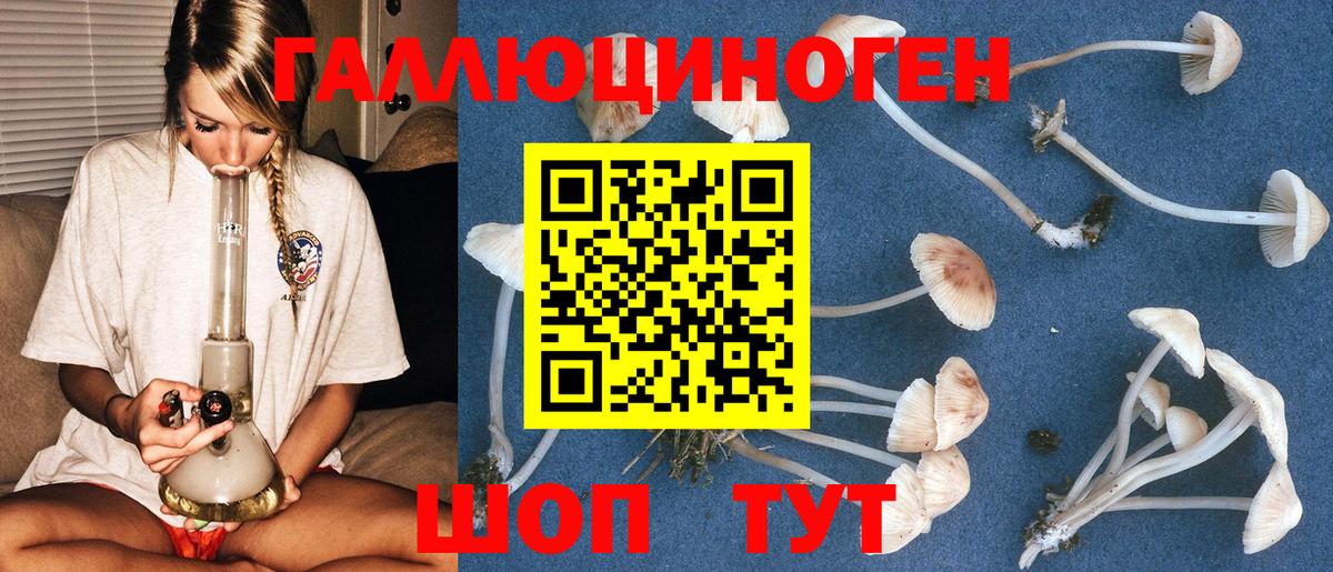 Галлюциногенные грибы мухоморы Новокуйбышевск