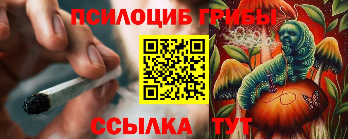 Новокуйбышевск  Галлюциногенные грибы мицелий  Псилоцибиновые грибы Cubensis  Вход с VPN 